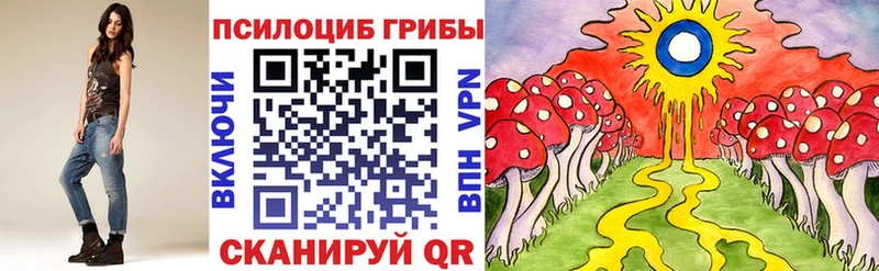 Купить закладки  Нижнекамск  Галлюциногенные грибы мицелий