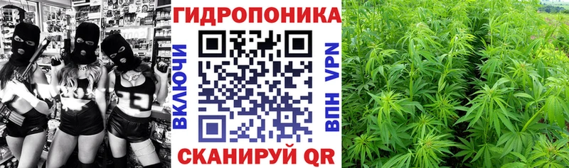 Купить закладки  Нижнекамск  Бошки марихуана марихуана 